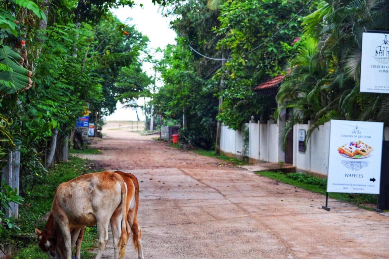 Easy Stay Lodge Weligama Exteriör bild